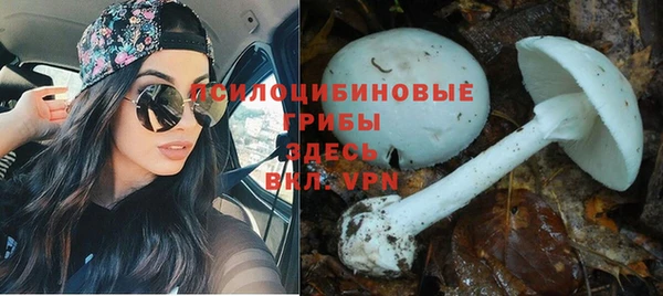 марихуана Заволжье